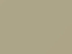 Ivory touch-up paint for Nissan, code KJ7, 2003