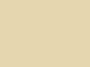 Avorio touch-up paint for Fiat, code 63, 2011