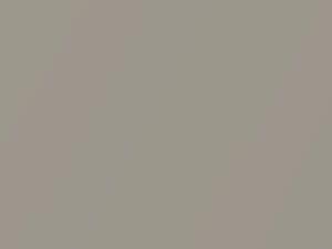 Platinum Metallic touch-up paint for Ford Ecosport, code 3QN, 3QNCWWA, 658, 2015