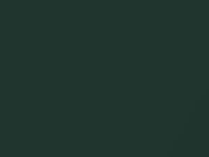 Orinoccogruen Pearl touch-up paint for Audi, code LZ6K, 2000