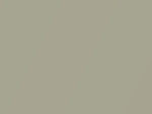 Mercedes-Benz Silberdistel Metallic touch up paint 681 2011 All Models
