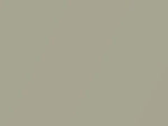 Mercedes-Benz Silberdistel Metallic touch up paint 681 2003 All Models