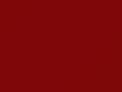 True Red touch-up paint for Ford Ranger, code 2FH, A4A, SWH, TR, WVH, 2011