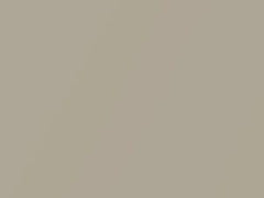 Beige Metallic touch-up paint for Toyota, code 4R4, 2004