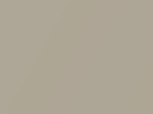 Beige Metallic touch-up paint for Toyota, code 4R4, 2004