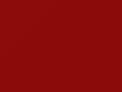 BMW Bright Red II/Hellrot II touch up paint 415 2003 All Models