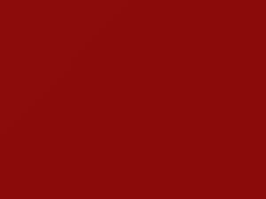 BMW Bright Red II/Hellrot II touch up paint 415 2003 All Models