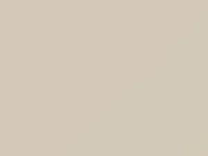 Cream White touch-up paint for Isuzu Trooper II, code 752, W101P802-0, 1993
