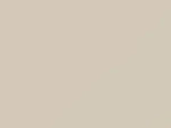 Cream White touch-up paint for Honda Passport, code 752, W101, 1997