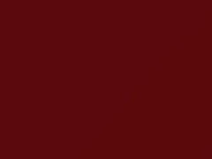 Mercedes-Benz Rubinrot touch up paint 3626 2010 All Models