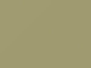 Light Beige touch-up paint for Mitsubishi Toppo, code CMS10014, S14, 2012