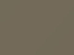 Cargo Khaki touch-up paint for Honda, code YR547, 2012