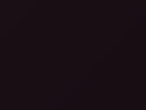 BMW Violet Red II/Violettrot II touch up paint 328 1996 All Models