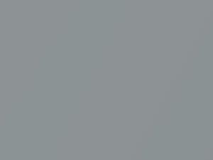 Machine Silver Metallic touch-up paint for Ford, code 2QTCWWA, 637, 2002