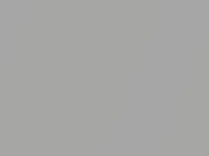 Grigio Moon Metallic touch-up paint for Fiat, code 671, 2011