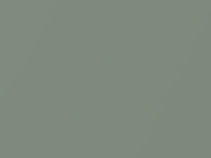 Light Green Metallic touch-up paint for Nissan, code J21, 2004