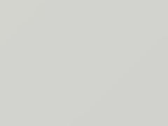 Bianco Cee touch-up paint for Fiat, code 86, 2011