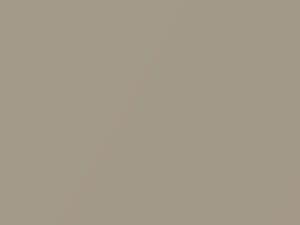 Beige Pebble Metallic touch-up paint for Infiniti G20, code CG2, 1989