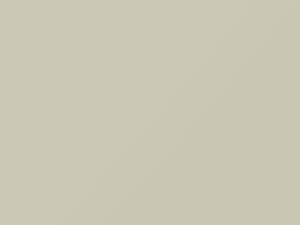 White touch-up paint for Lexus, code 045, 45, 2005