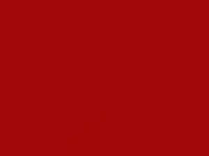 Audi Misano Red Pearl touch up paint LZ3M 2017 A5