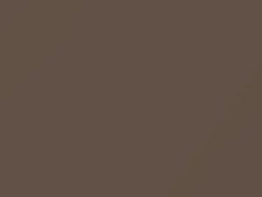Beige touch-up paint for Toyota, code 4S4, 2020
