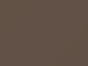 Beige touch-up paint for Toyota, code 4S4, 2020