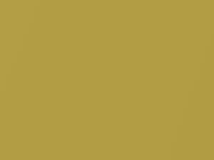 Giallo Pareo Metallic touch-up paint for Fiat Multipla, code 593, 2003