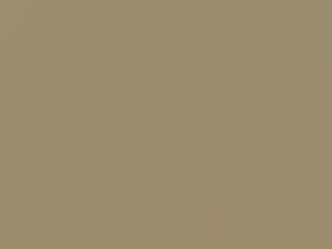 Mercedes-Benz Pebble Gray touch up paint 701 2019 All Models
