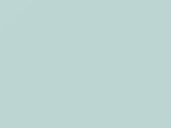 Cool White touch-up paint for Toyota, code 069, 69, 2001