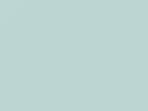 Cool White touch-up paint for Toyota, code 069, 69, 2001