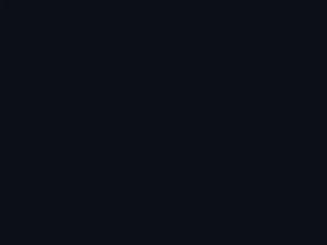 Mercedes-Benz S Class Midnight Blue touch up paint 5904 1995 ClassS
