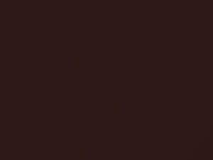 Mercedes-Benz Bourbon Metallic touch up paint 486 2010 All Models