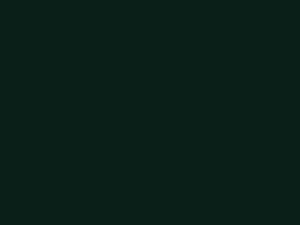 Mercedes-Benz Orchidgruen touch up paint 464 2003 Sprinter