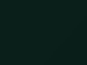 Woodland Green touch-up paint for Chevrolet, code 45, 46 + alternatives, 2008