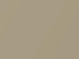Light Gold Metallic touch-up paint for Nissan Murano, code E32, 2006