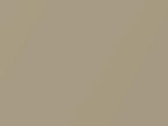 Light Gold Metallic touch-up paint for Nissan Murano, code E32, 2004