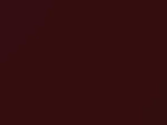 Merlot Pearl touch-up paint for Nissan, code AX5, 2013