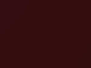 Merlot Pearl touch-up paint for Nissan, code AX5, 2013
