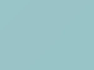 Koralle touch-up paint for Audi 100, code 32Z, G7, L32Z, 1976