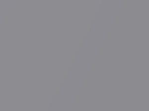 Mercedes-Benz Mondsilber Metallic touch up paint 706 2003 All Models