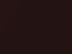 Dark Rosewood Metallic touch-up paint for Chrysler Cirrus, code AY112REG, PEG, REG, 1996