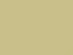 Light Yellow touch-up paint for Toyota, code 599, 2020