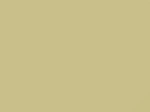 Light Yellow touch-up paint for Toyota, code 599, 2020