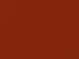 Atomic Orange touch-up paint for Nissan, code A16, 2003