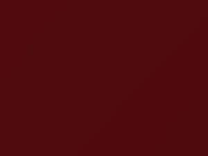 Cardinal Red touch-up paint for Isuzu, code 736, R410P801-0, 2002