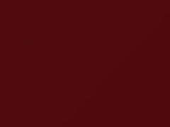 Cardinal Red touch-up paint for Isuzu, code 736, R410P801-0, 2002