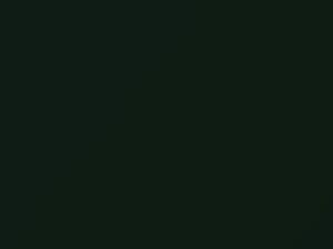 Verde Indy touch-up paint for Fiat Multipla, code 351A, 2002