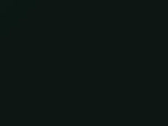 Dark Green touch-up paint for Nissan, code DV0, 2001