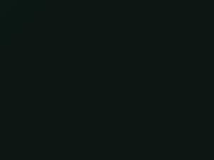 Dark Green touch-up paint for Nissan, code DV0, 1997