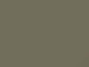 Reliable Khaki touch-up paint for Nissan, code E22, 2004